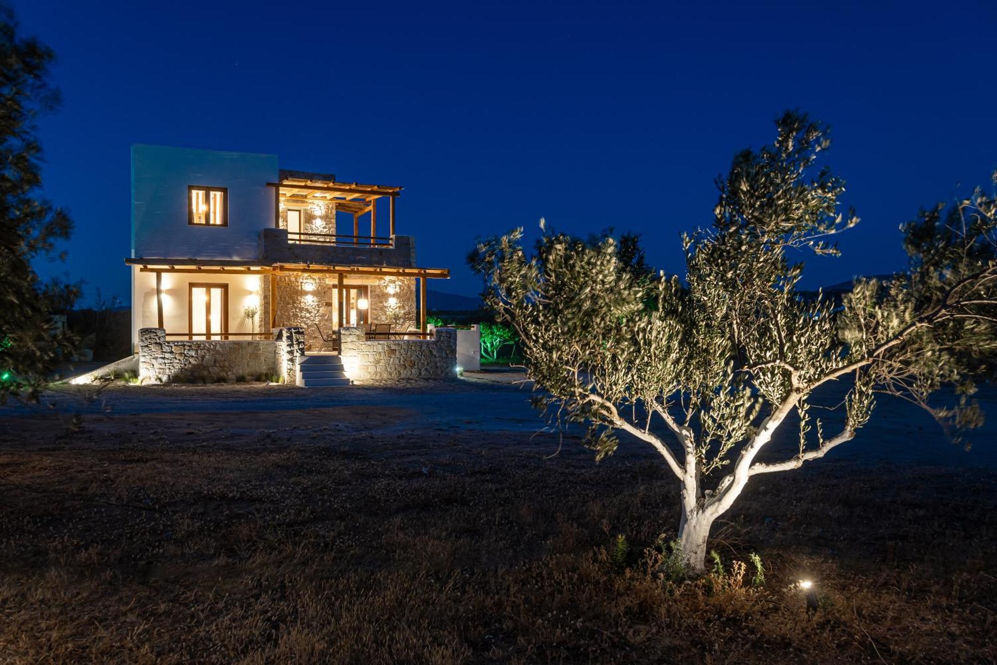 Naxos Beachwalk Villa Plaka Maragkas Exterior photo